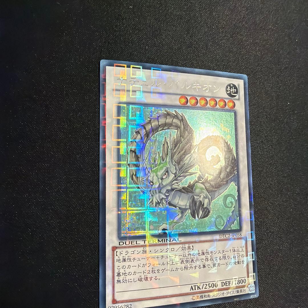 ナチュルパルキオン DTC シークレット 遊戯王
