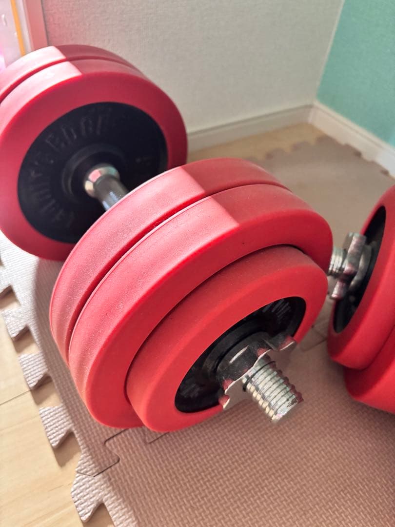 30Kg ダンベルセット 1本