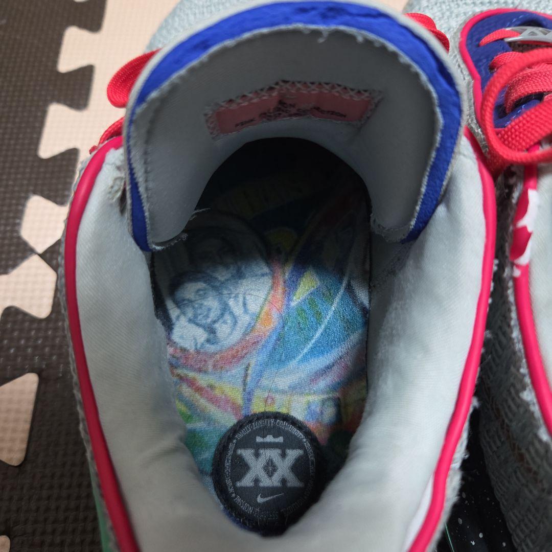 NIKE Lebron20 ナイキ レブロン 20 27cm