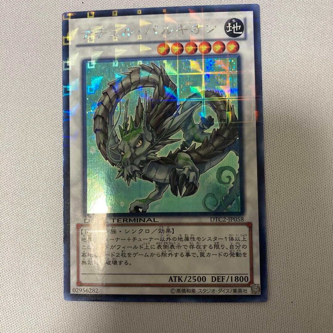 遊戯王 ナチュルパルキオン シークレット DTC