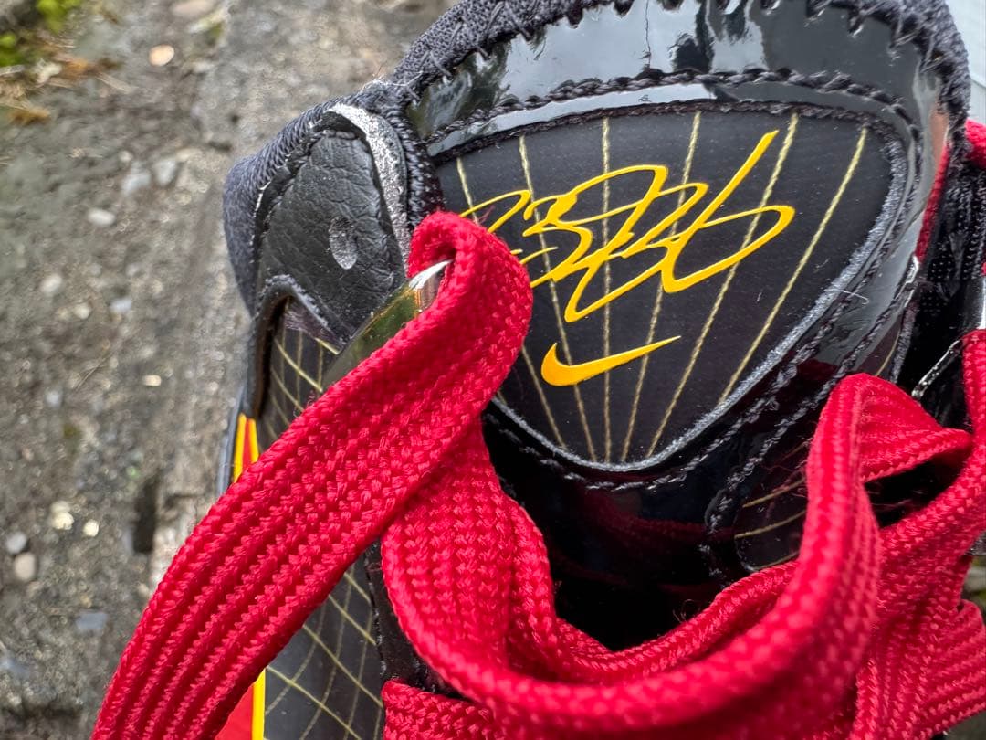 Nike レブロン #バッシユ #ナイキ 箱付き