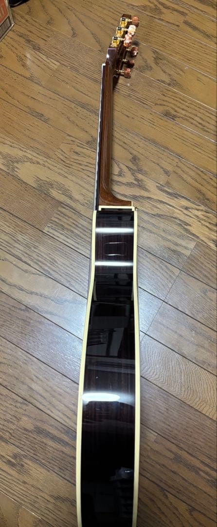 Takamine タカミネ TSP10NCS エレガットギター ナイロン弦