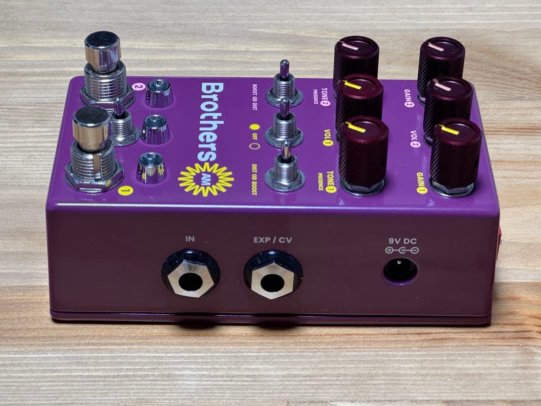 【本日値下げ】chase bliss audio Brothers AM