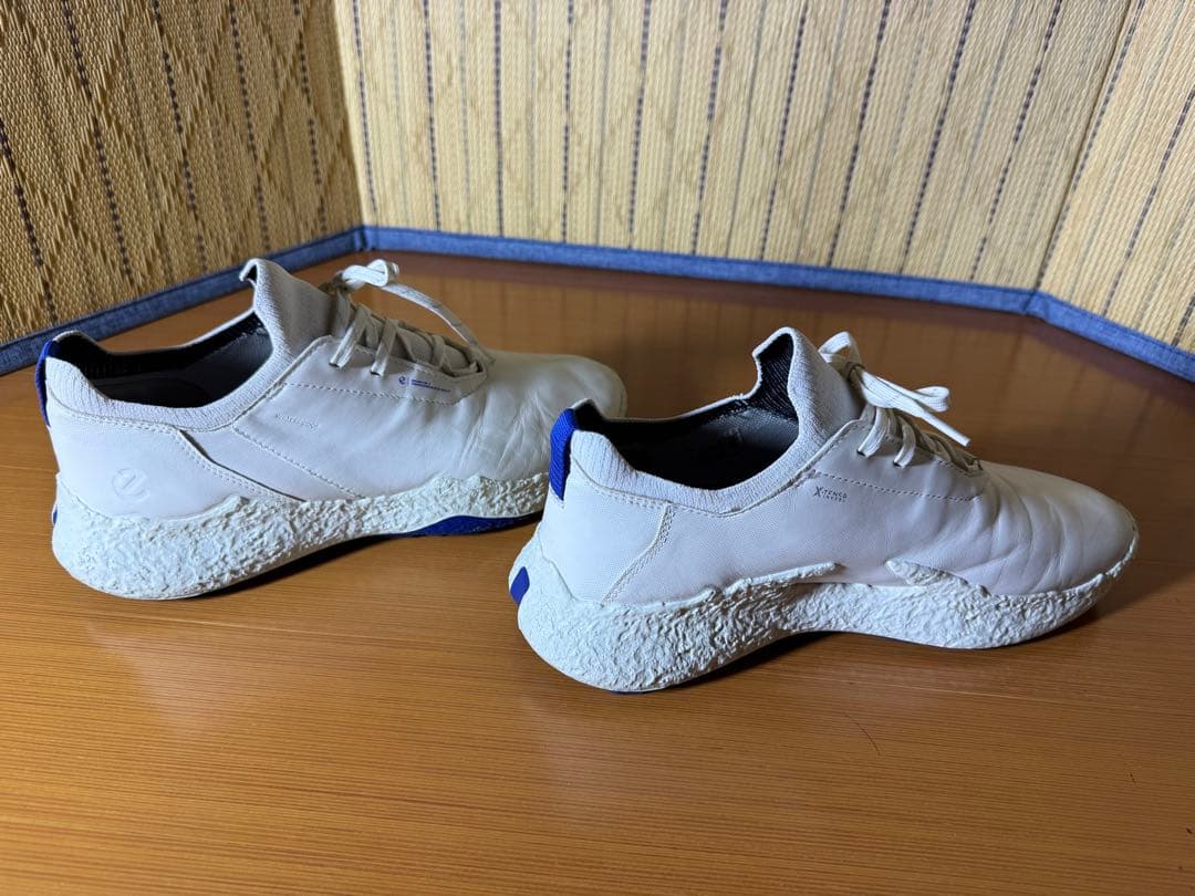 シューズ(男性用) ECCO Golf Biom H5 Hybrid Men