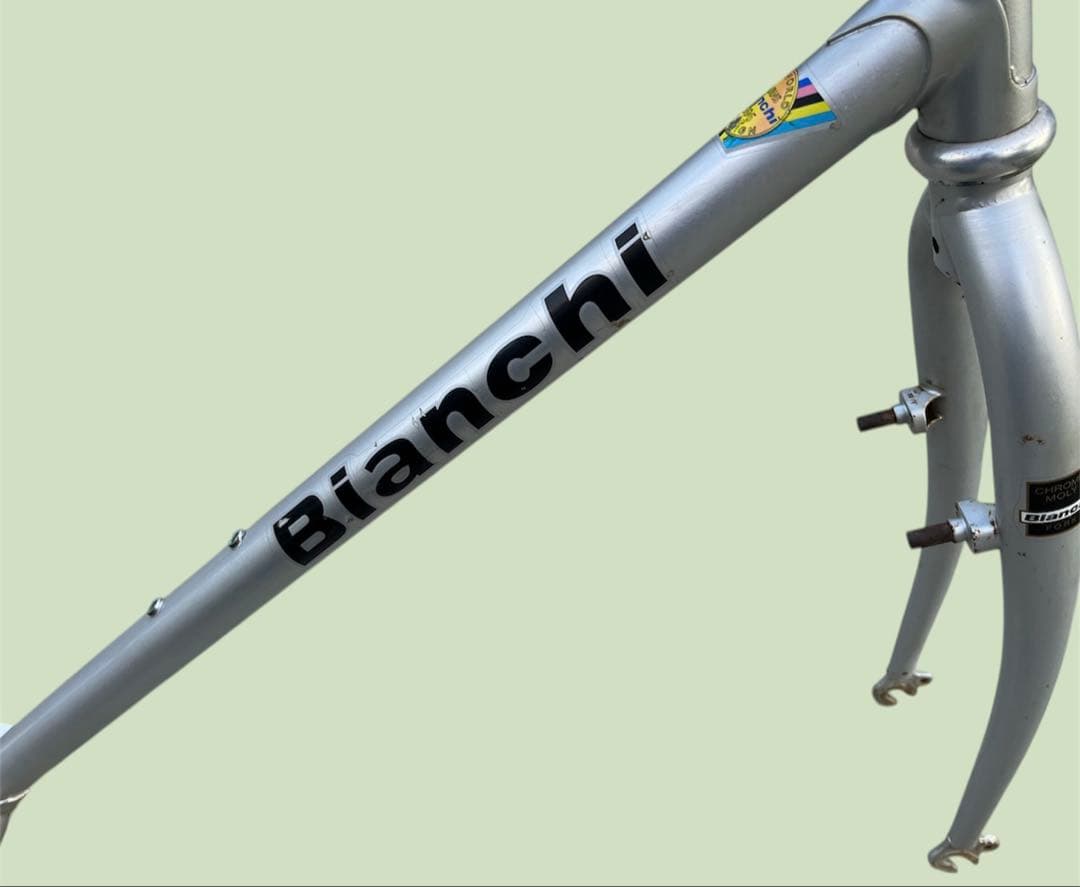 【希少90s】Bianchi PEREGRINE フレームセット オールドMTB