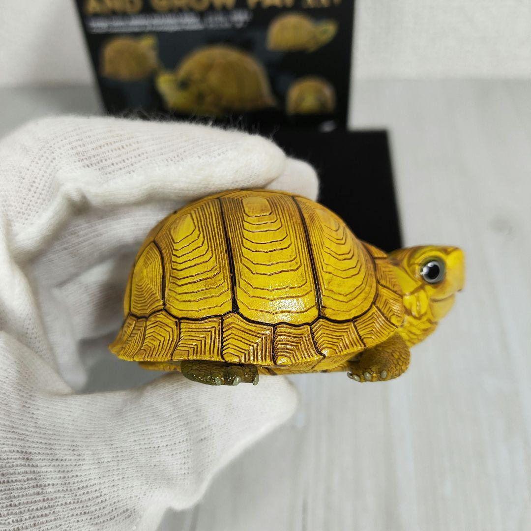 【動物の惑星】レア★ユカタンハコガメ★シークレット! フィギュア