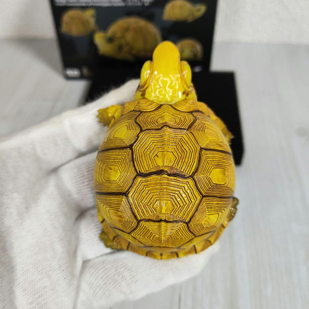 【動物の惑星】レア★ユカタンハコガメ★シークレット! フィギュア