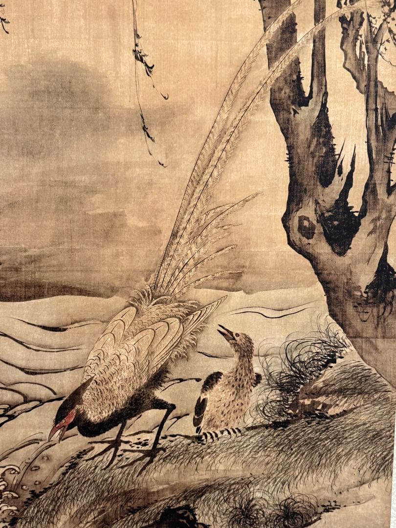 中国　明時代　汪肇　柳禽白鷳圖　絹本　原色複製　◇検故宮博物館◇ 一鼎軒0926
