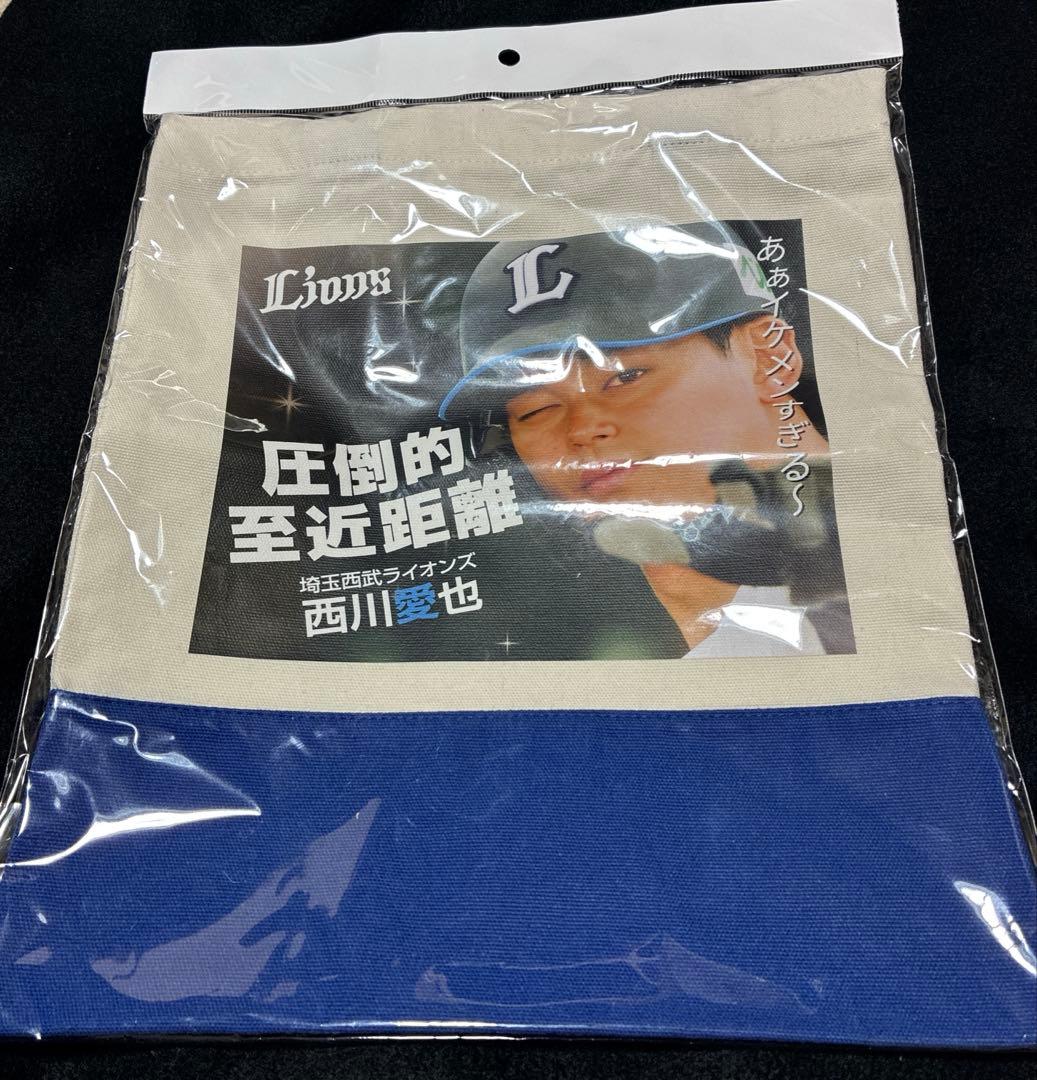 西武ライオンズ　西川愛也　圧倒的至近距離　セット