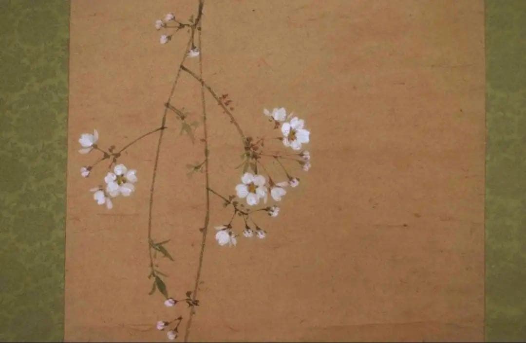 掛軸　深田呉城作　桜花跳鮎図　掛け軸真作