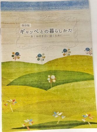 値下げ可能ミニギャベ●30×35㎝●手織●本物●新品未使用 遊牧民が紡ぐギャッベ