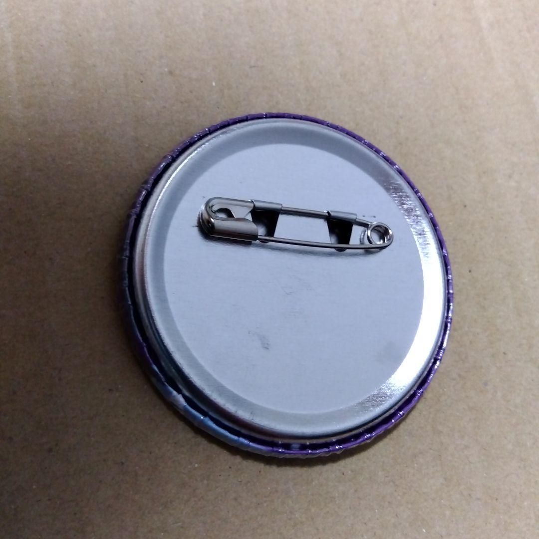 【鋼の錬金術師】エンヴィー サンリオ 缶バッジ