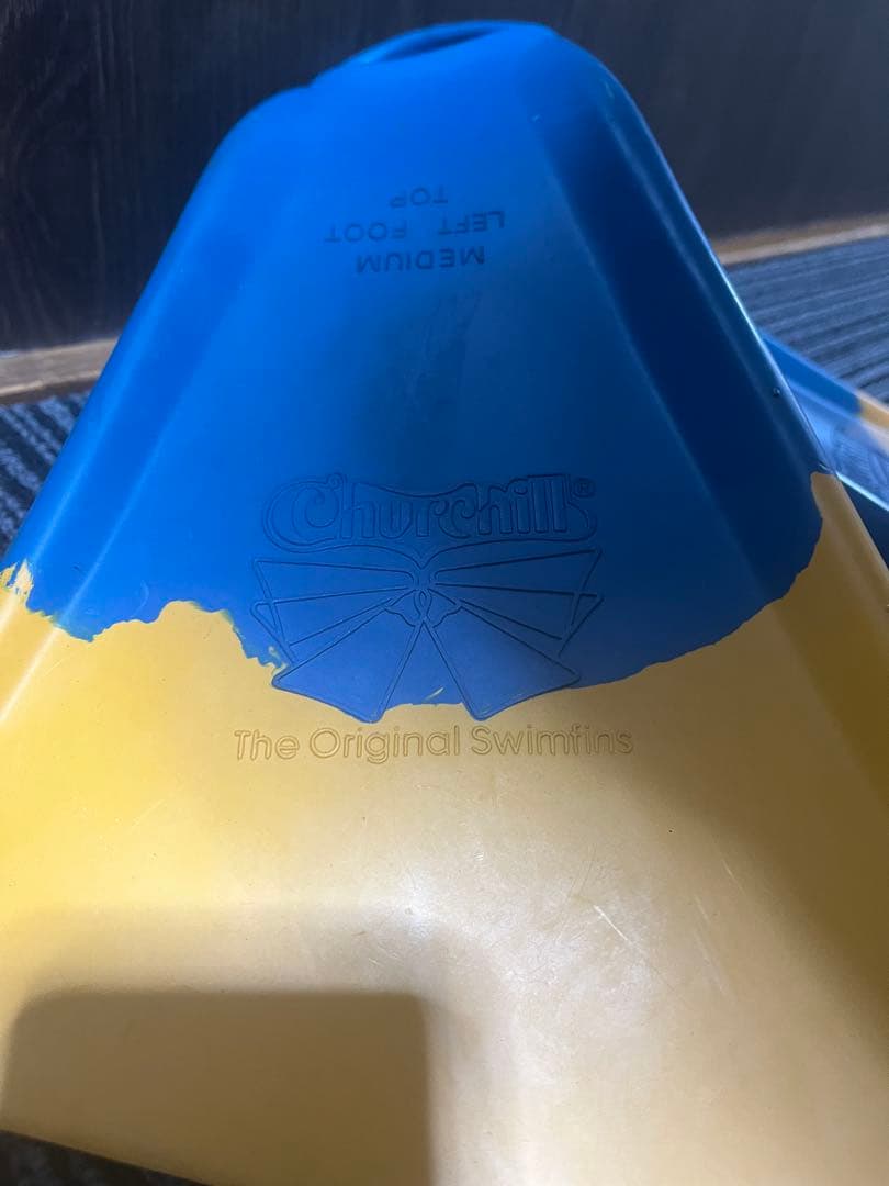 ボディボード RHEOPAIPO ハードケース付き