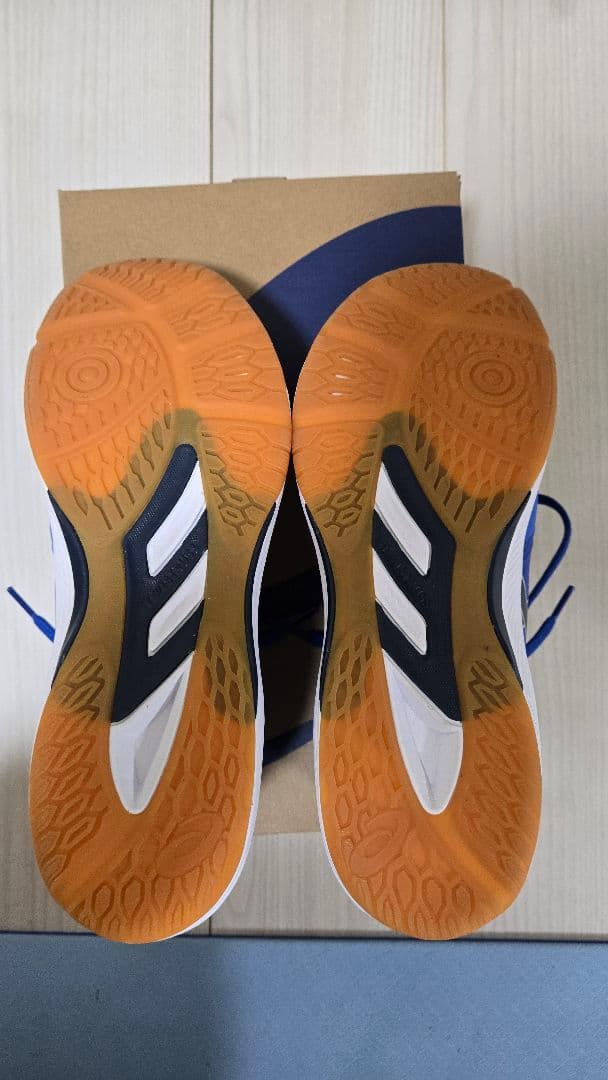 アシックス　ASICS　バレーボール　ローテジャパン