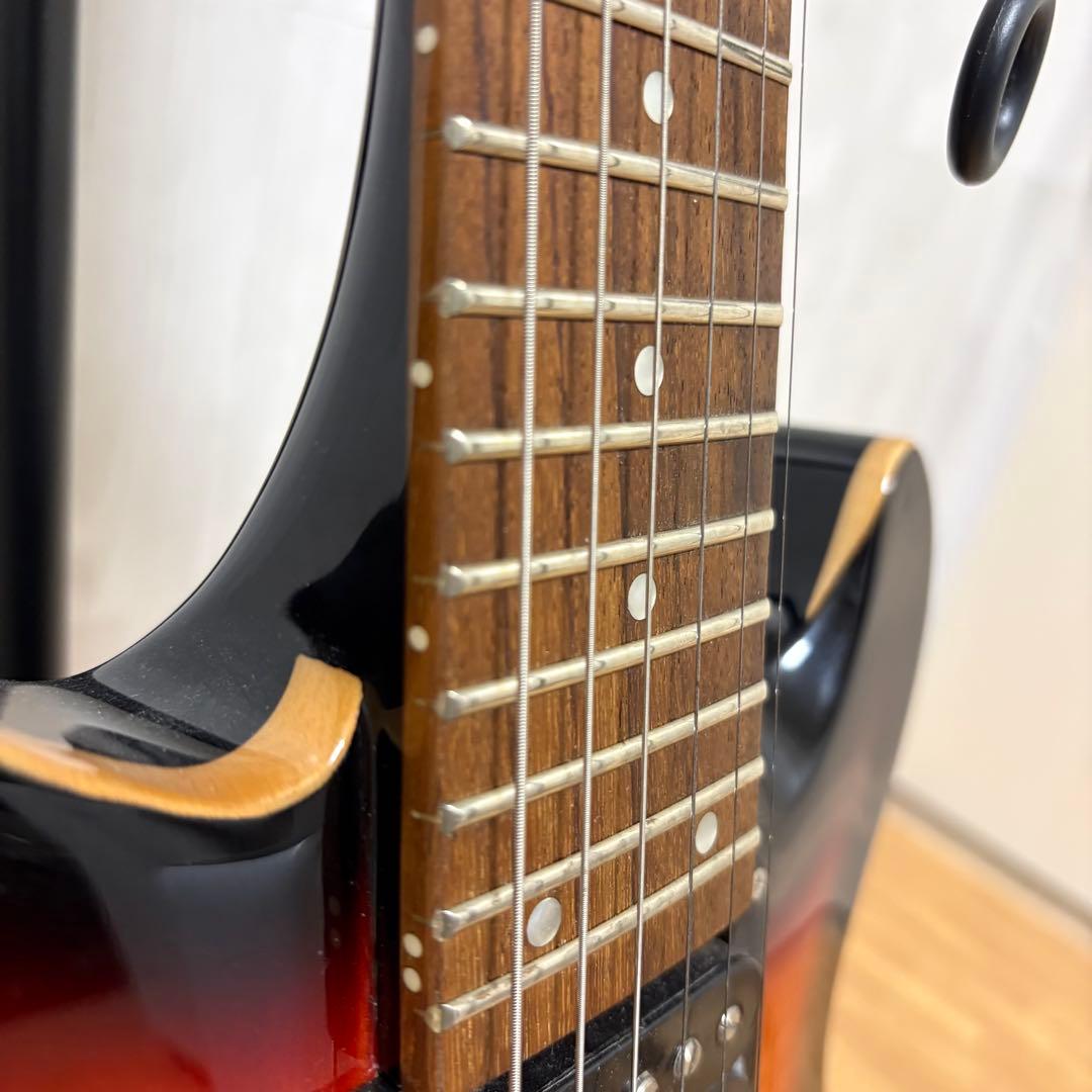 FERNANDES APG STD STANDARD 2012 サンバースト