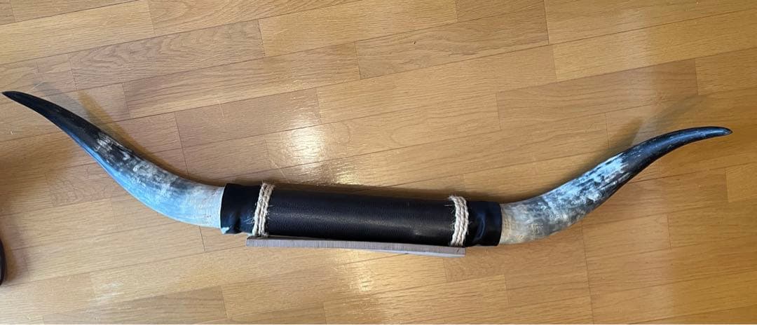 巨大実物　牛ツノ　オブジェ　ウエスタン　送料込み　130cm horn