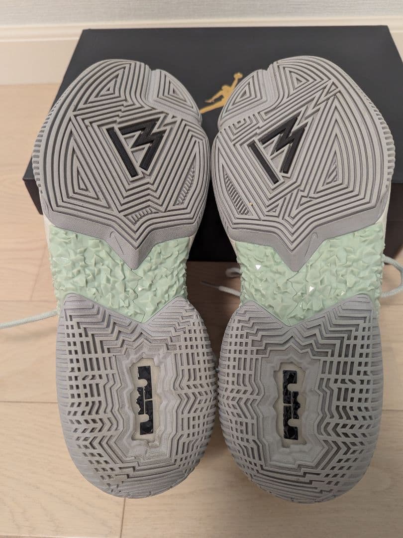 シューズ(男性用) LeBron Ambassador 13