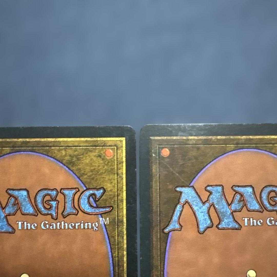 MTG アダーカー荒原 英語版２枚セット