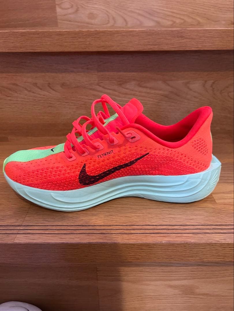 NIKE ペガサスプラス　25cm