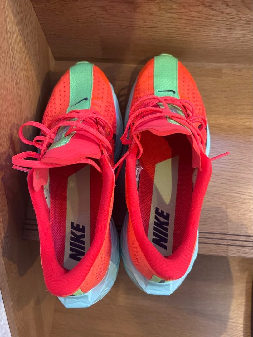 NIKE ペガサスプラス　25cm