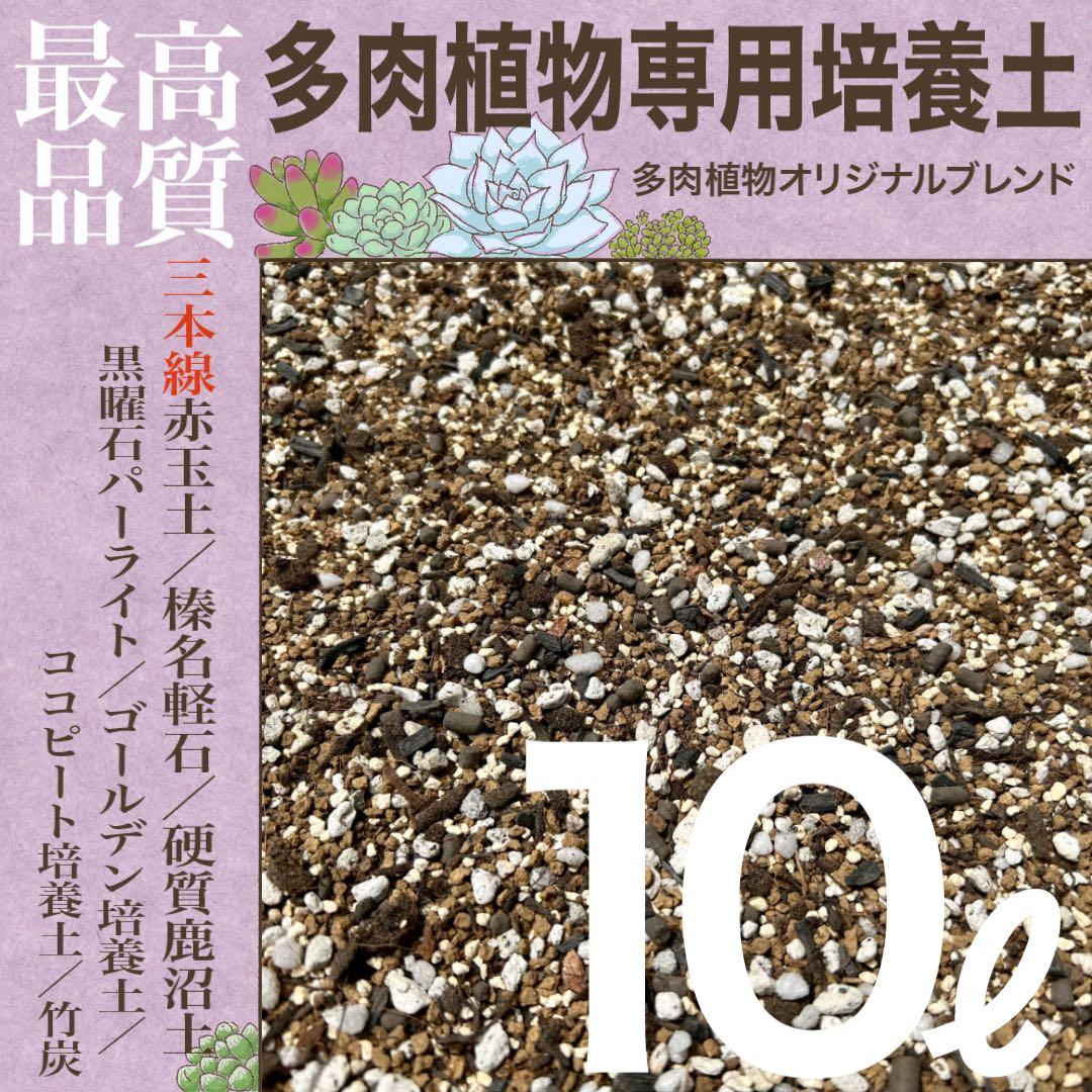 【三本線赤玉土】多肉植物培養土　10㍑　セダム/エケベリア/ハオルチア/アロエ等