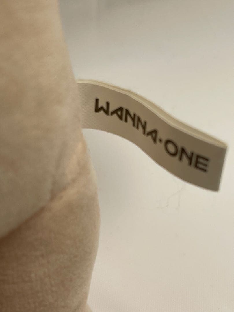 公式 Wanna One ジフン ぬいぐるみ 20cm ぬい服 豪華7点セット