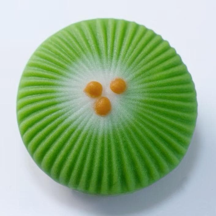【上生菓子木型・松の紋　箱付き】和菓子木型　３種類の木彫　松つぼみ　松の木　唐松