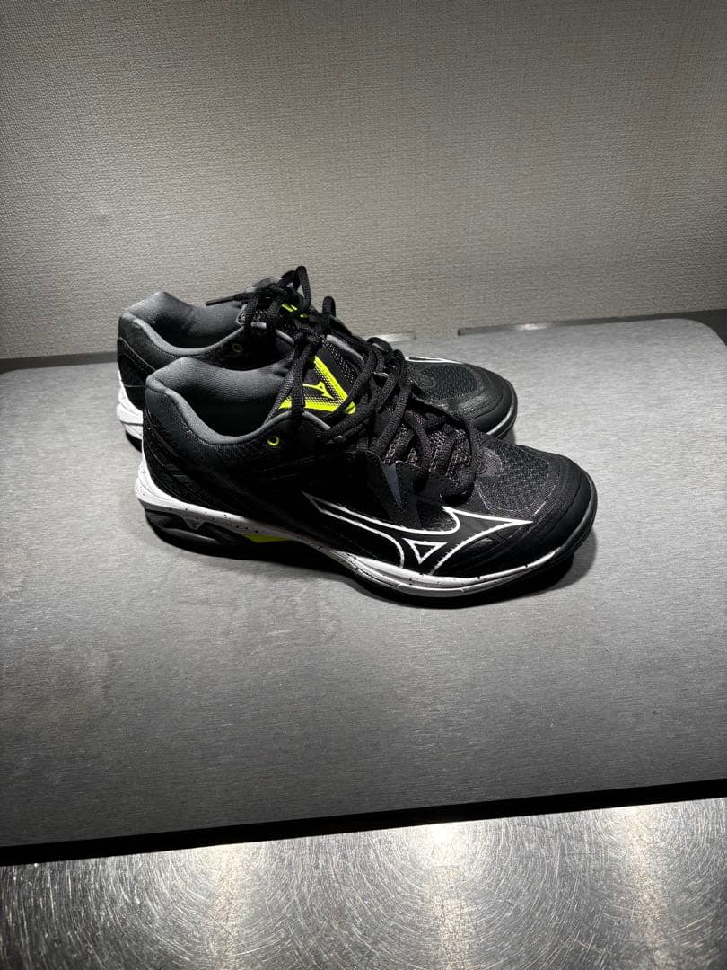 Mizuno ウエーブクロー3 WIDE(バドミントン) 25.5cm