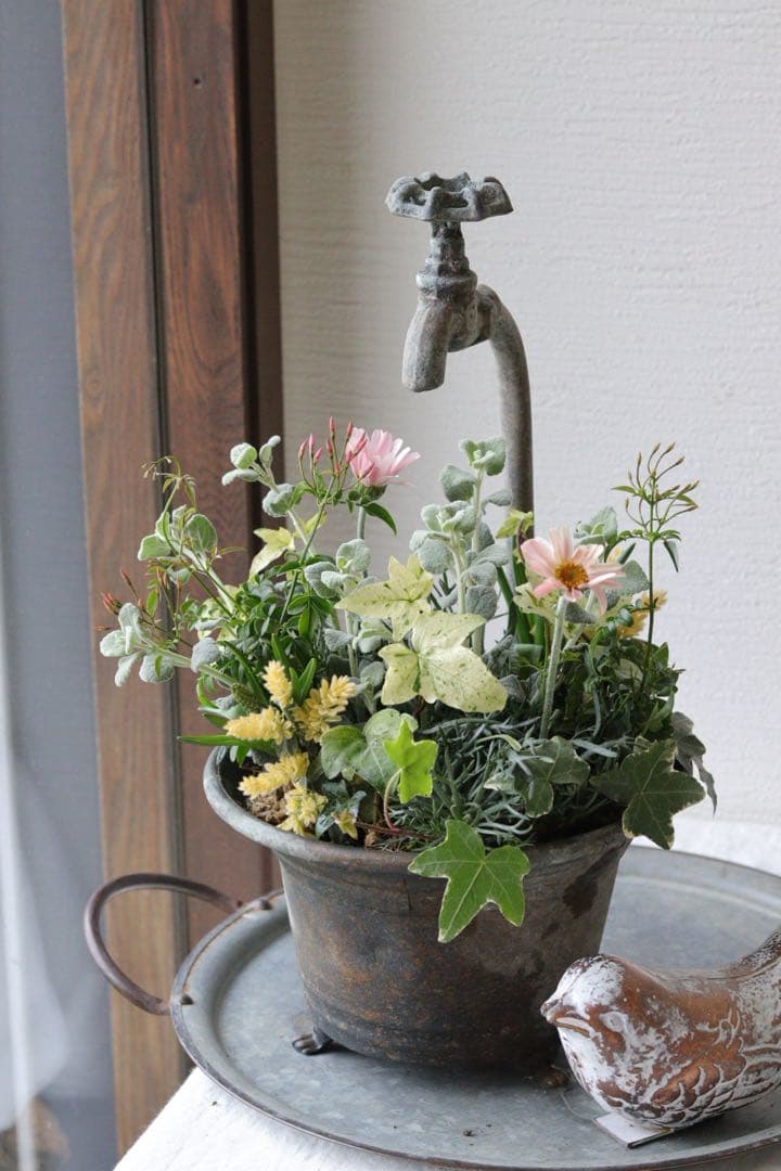 アプリコットと春の花❤︎シャビータップポットの寄せ植え