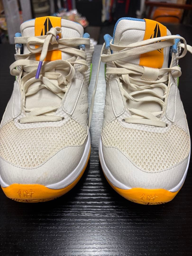Nike バスケットボールシューズ 12