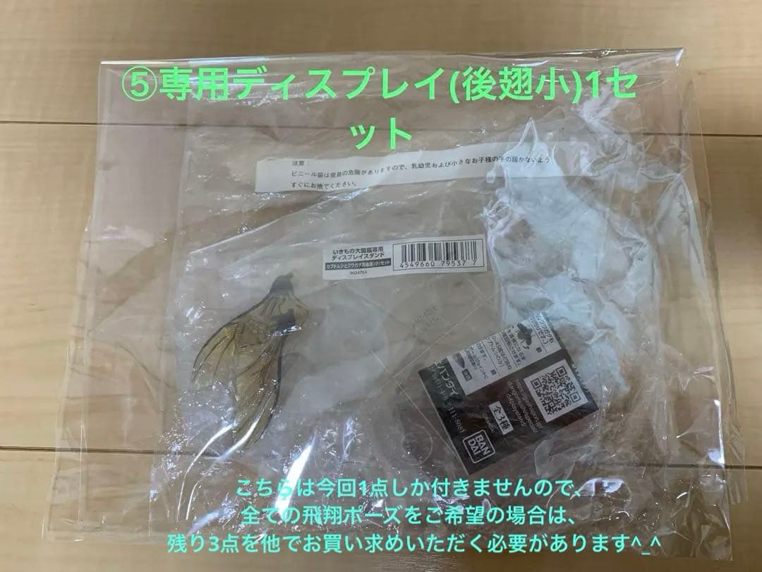 ★いきもの大図鑑【ニジイロクワガタ】4種＋後翅(小)ディスプレイ1個セット★