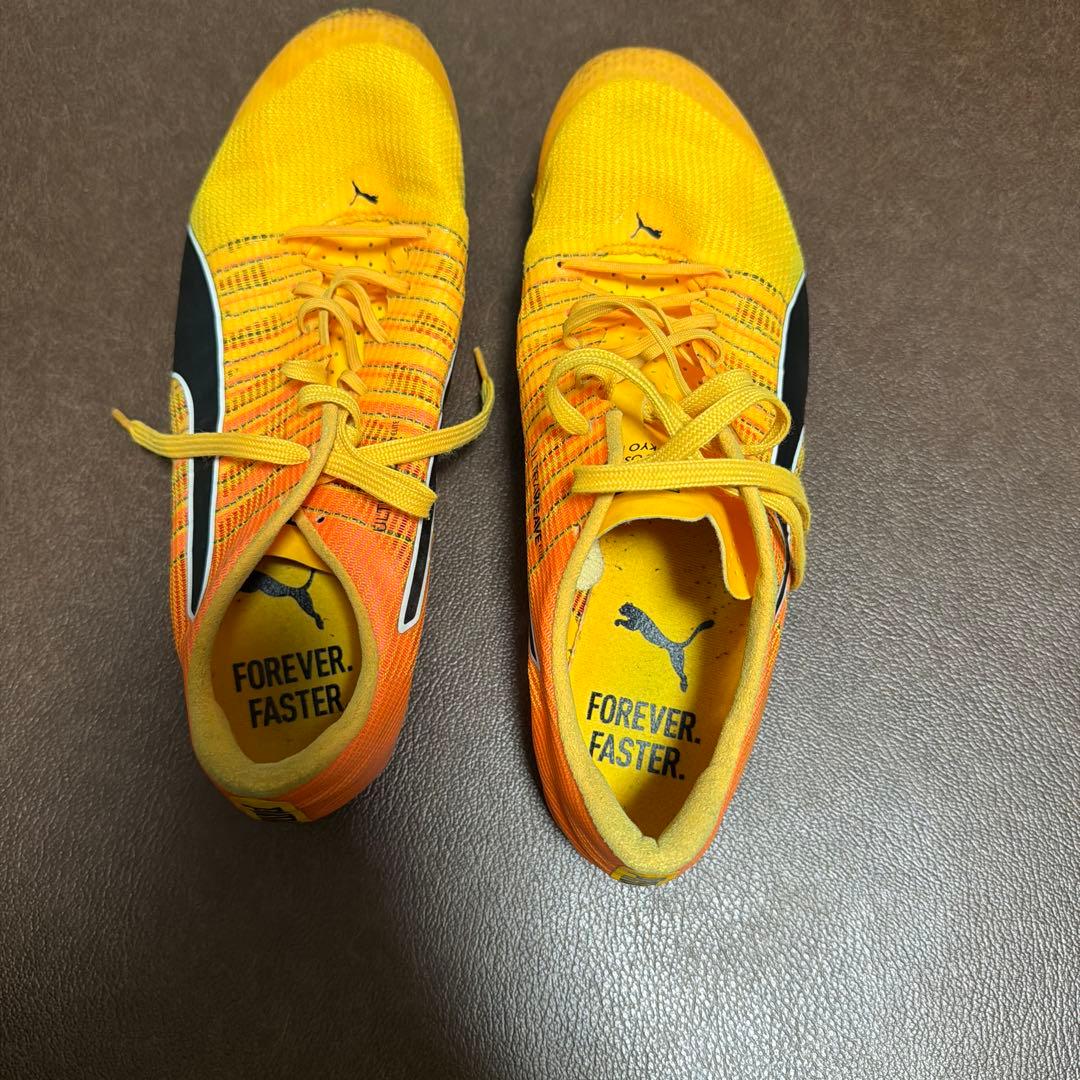 PUMA 陸上 スパイク 25.5 エヴォスピード ブラッシュ 付属、袋セット