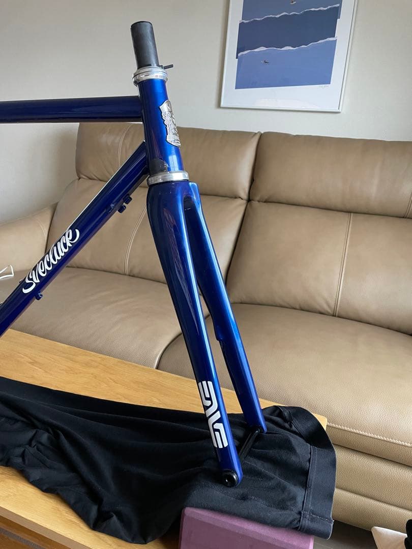 極上品 Svecluck Ground Disc ENVE FORK PAUL
