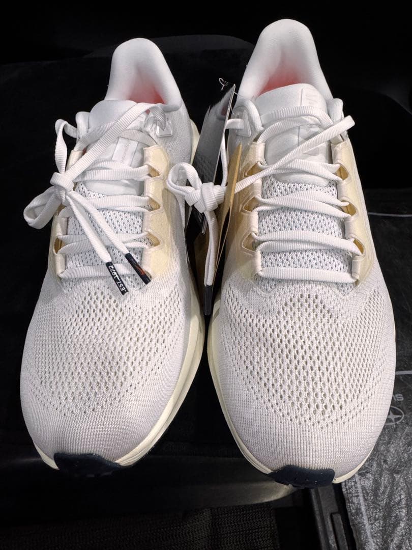 NIKE ペガサス41 ランニングシューズ