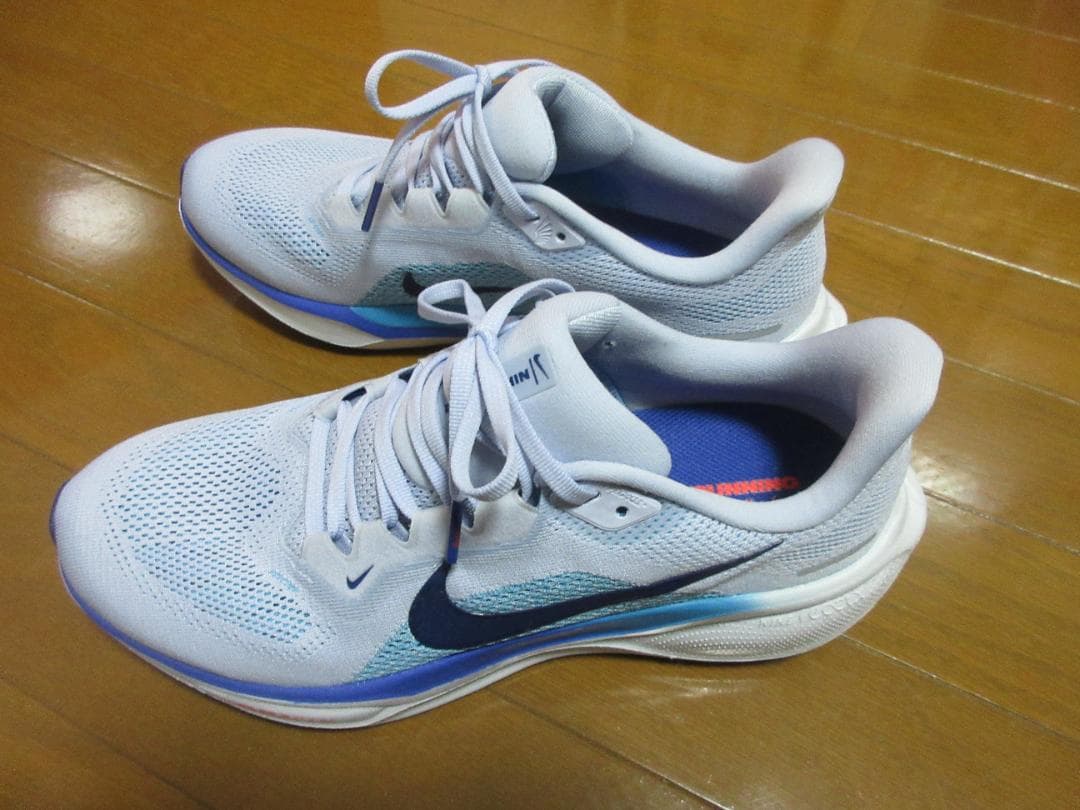 NIKE ペガサス