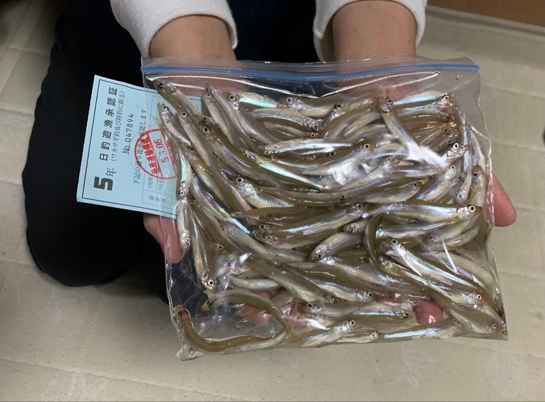 新作穂先　ワカサギステンレス穂先　２本３００ミリ