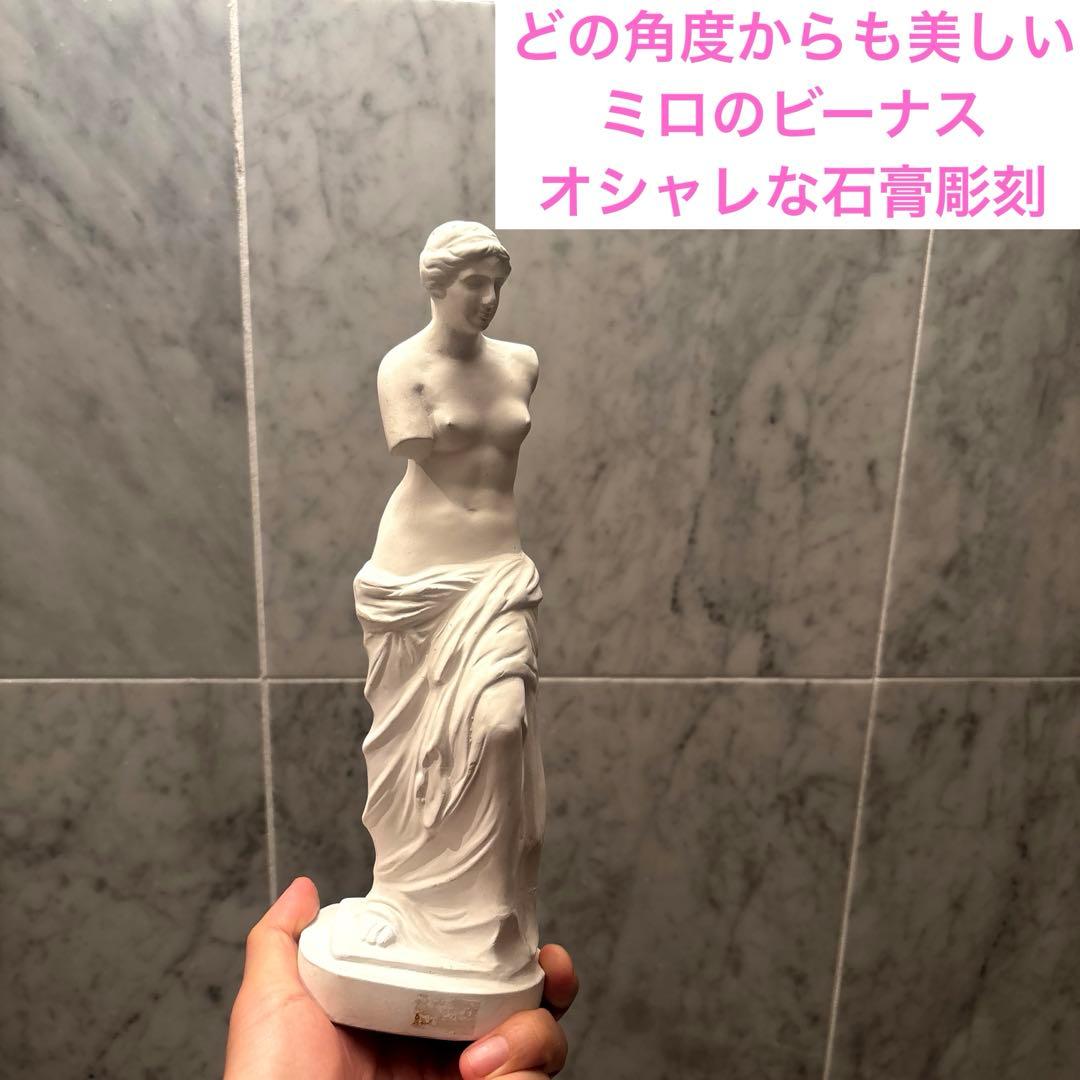 どの角度からも美しいミロのビーナスのオシャレな石膏彫刻　デッサン