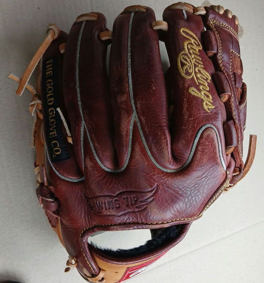 ローリングス（Rawlings）THE GOLD GLOVE CO　ESBC29