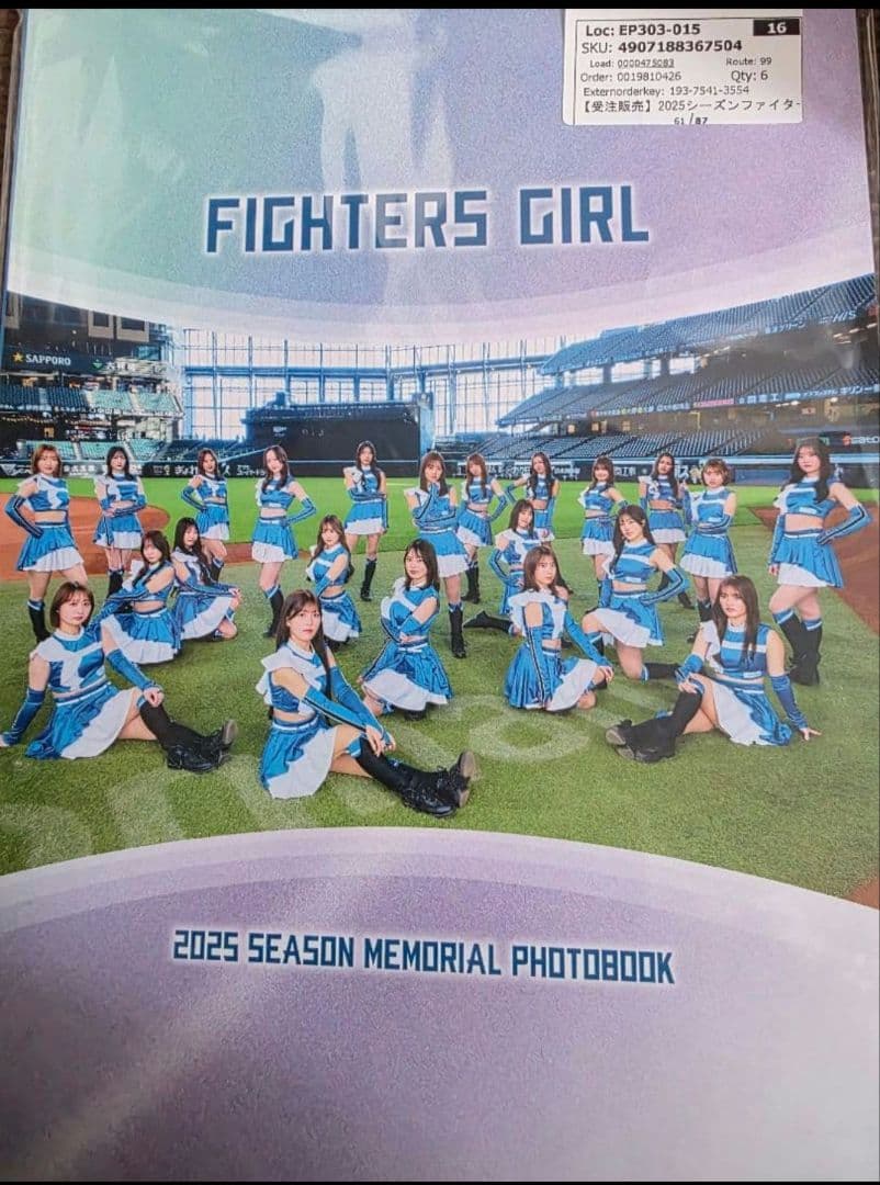 ほ*そ様 FIGHTERS GIRL シーズンフォトブック　受注生産　現在入手不