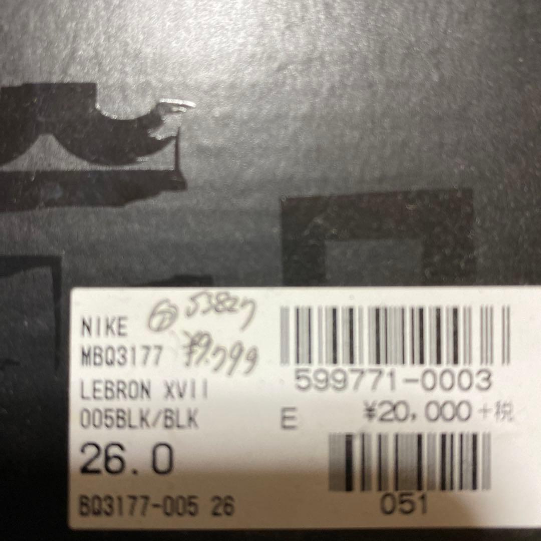 NIKE LeBron 17 ブラック/マルチカラー シューズ