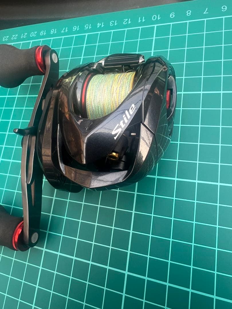 スティーレ100PG