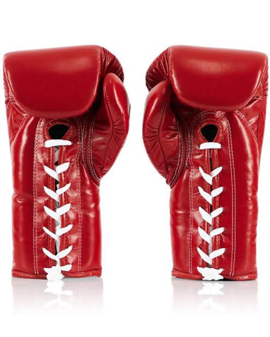 Fairtex BGL6 14oz レッド