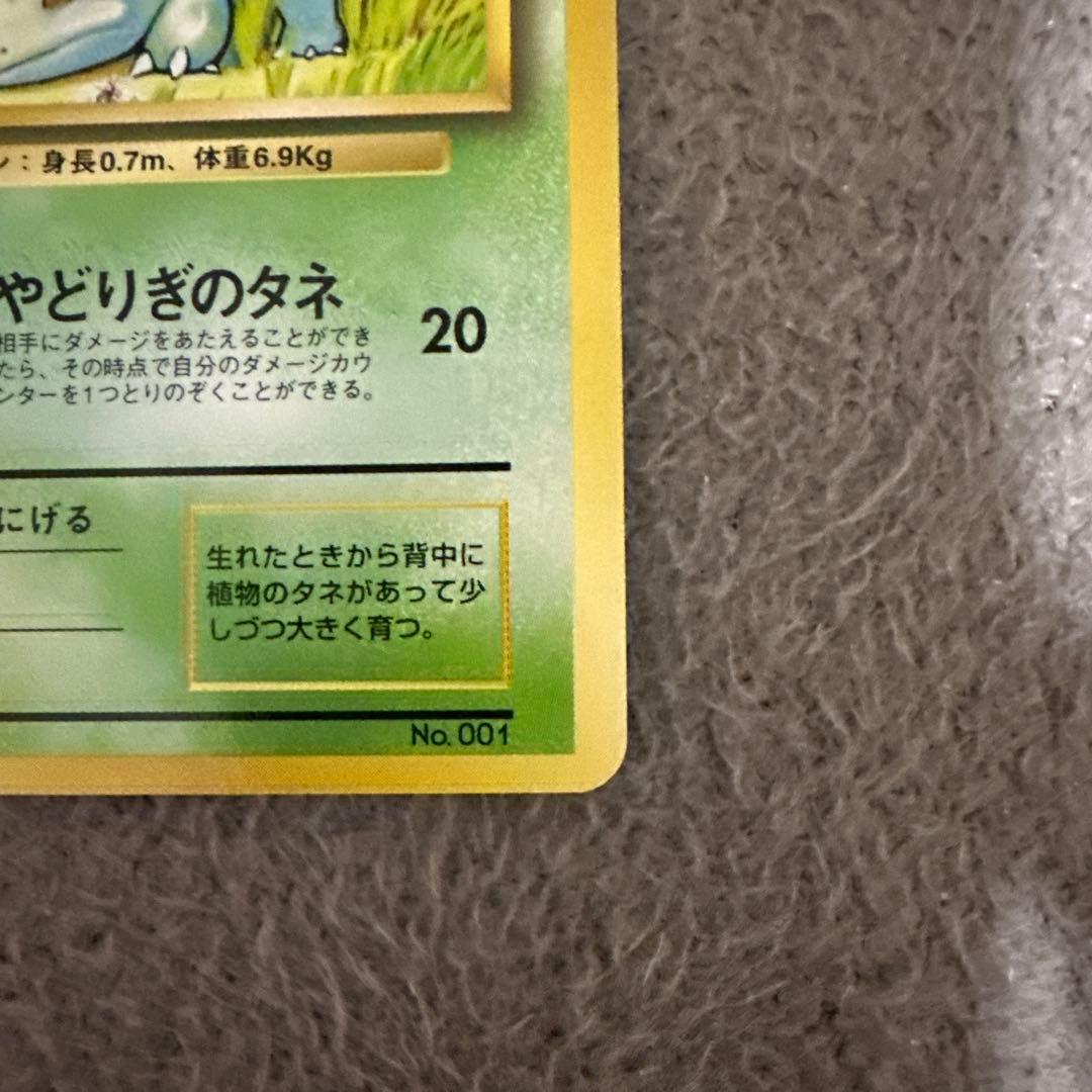 ポケモンカード 旧裏 初版 フシギダネ LV.13 HP40 草タイプ