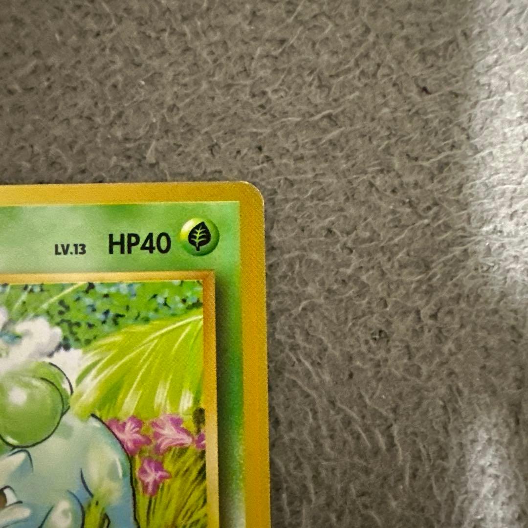 ポケモンカード 旧裏 初版 フシギダネ LV.13 HP40 草タイプ