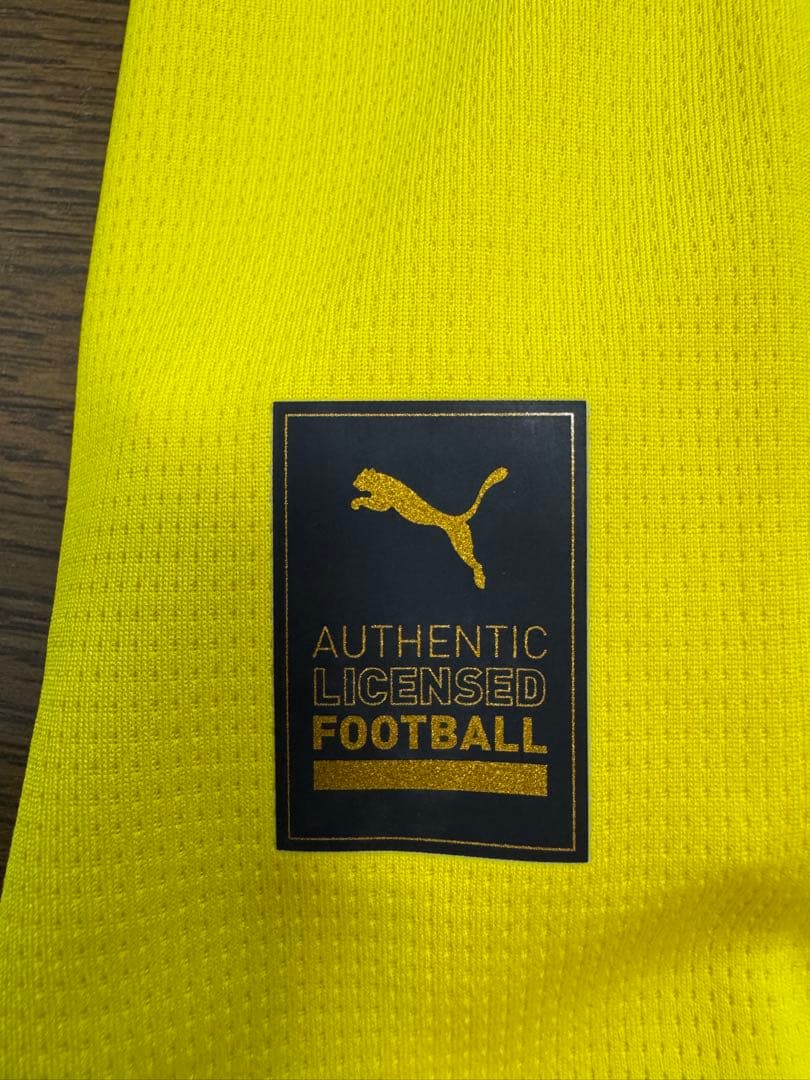 Borussia Dortmund オーセンティック インポート L No.1