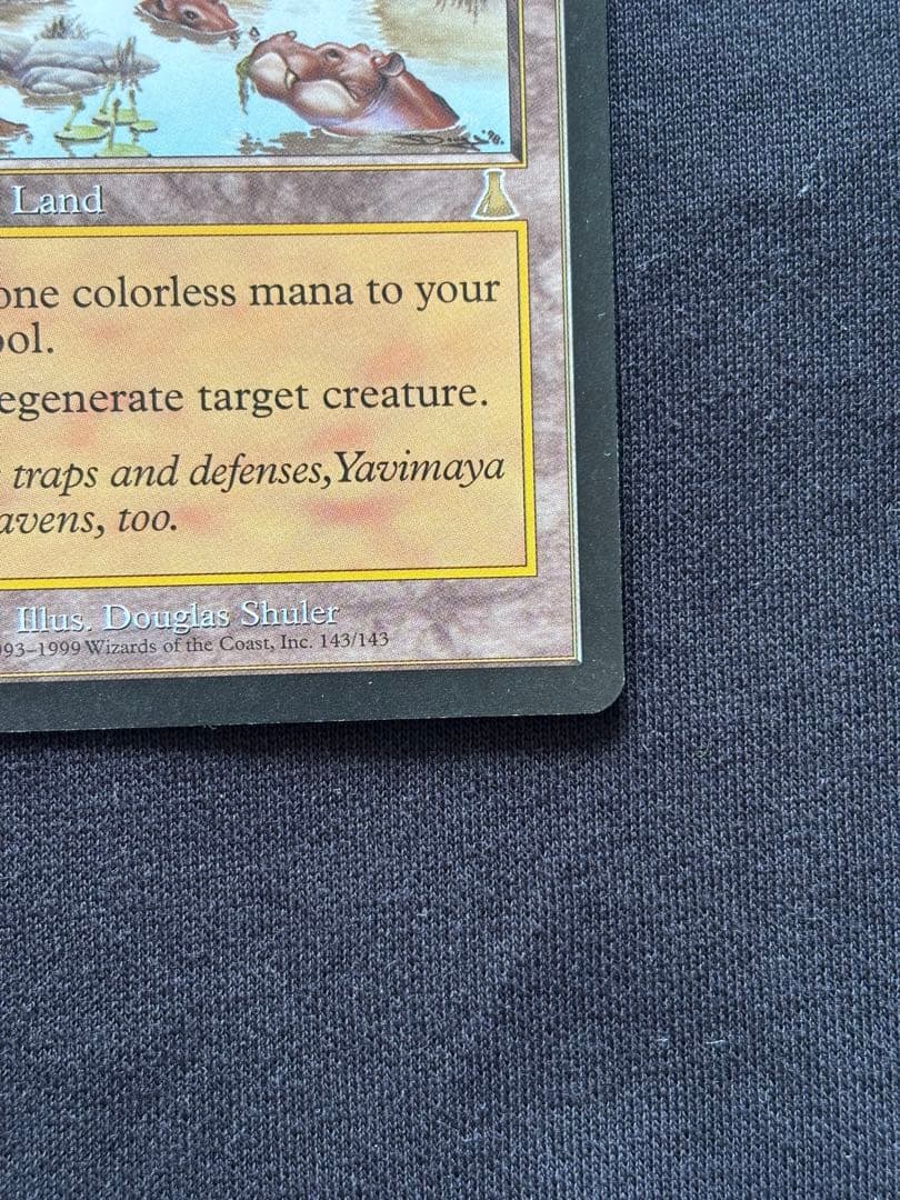 MTG ヤヴィマヤのうろ穴 Yavimaya, Cradle of Growth