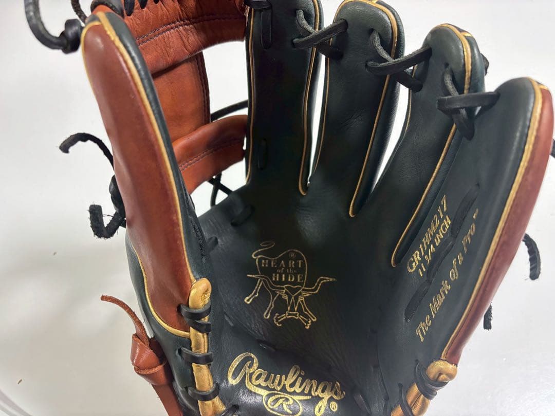 Rawlings ローリングス THE GOLD GLOVE 黒/茶