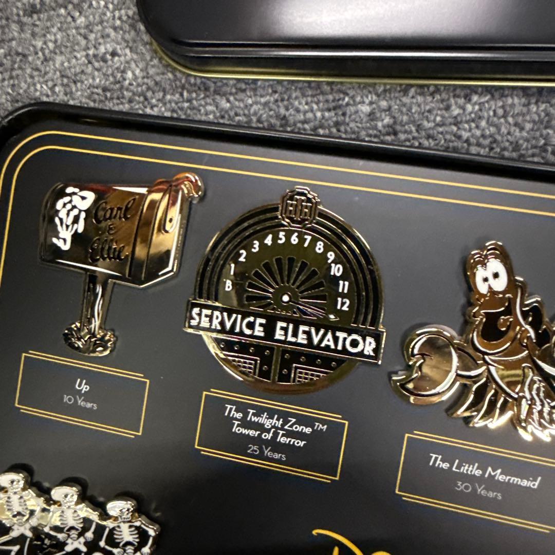 d23ディズニーファンクラブ 10周年 ピンバッジセット