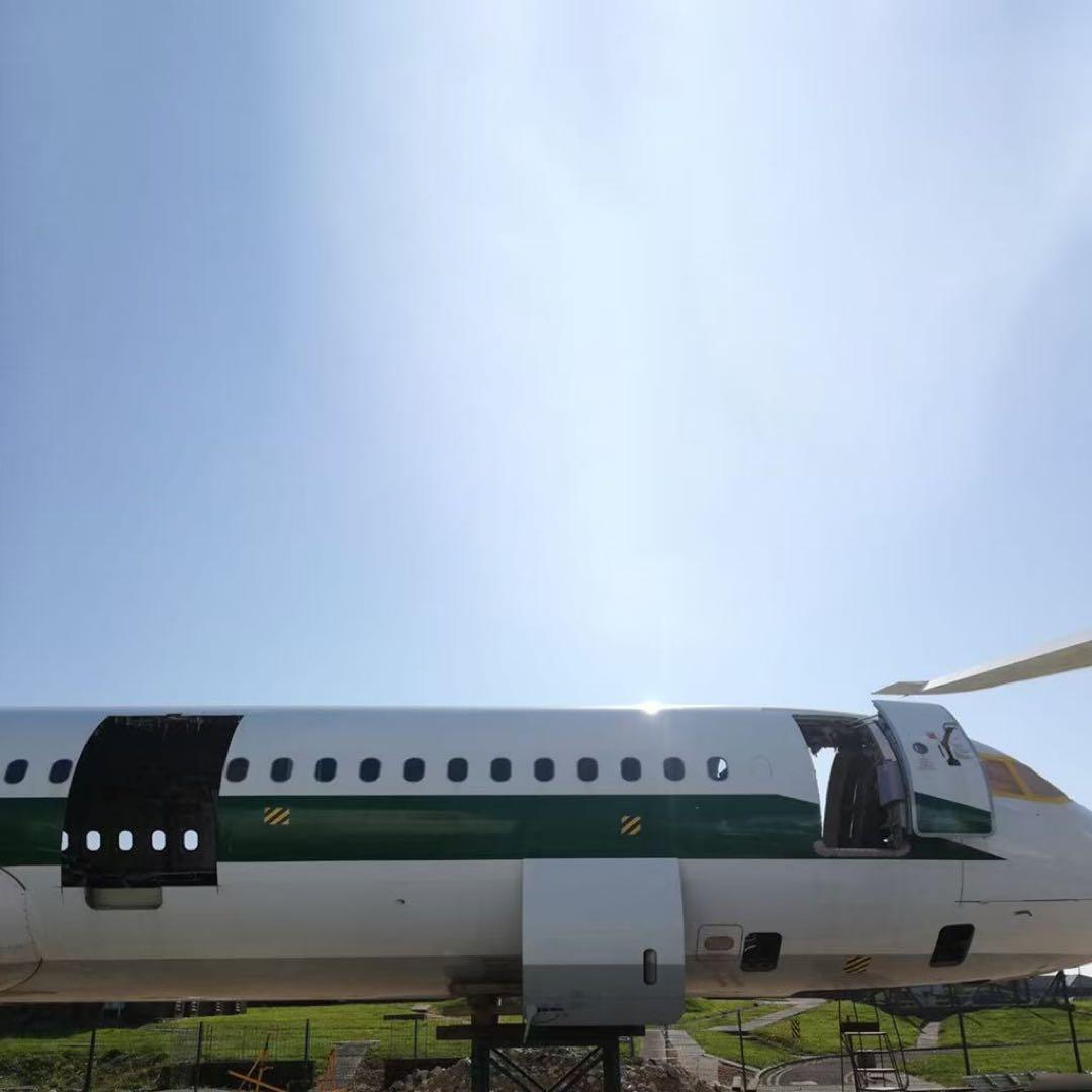 A321 アリタリア航空 Aviationtag