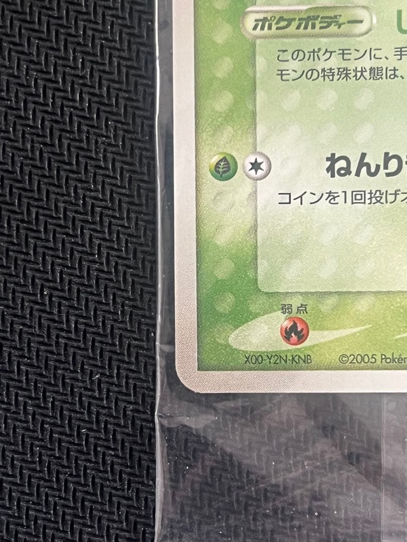 ポケパーク 未開封 アチャモ セレビィ 確認用